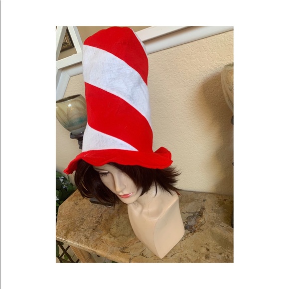 Accessories - Tall Costume Hat FINAL PRICE!!!